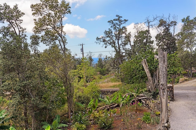 92-8856 Orchid Pkwy, Ocean View, HI 96737 - view of nature