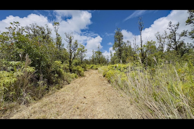 Pikake St, Mountain View, HI 96771