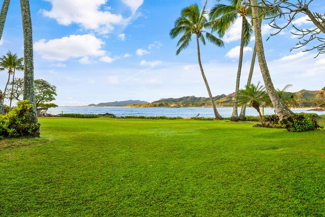 410 Papaloa Rd Unit 233, Kapaa, HI 96746