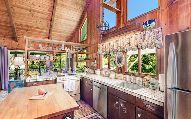 99-1798 Painiu Loop, Volcano, HI 96785 - kitchen featuring appliances with stainless steel finishes, wooden walls, a wood ceiling with exposed beams, plenty of natural light, and tile countertops
