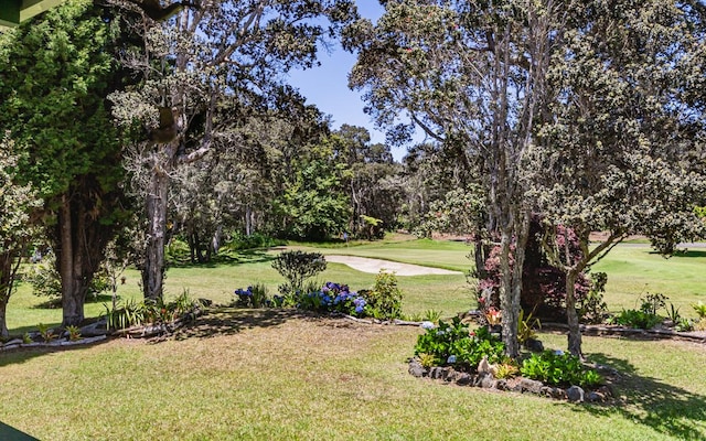 99-1798 Painiu Loop, Volcano, HI 96785 - view of grassy yard with view of golf course and view of wooded area