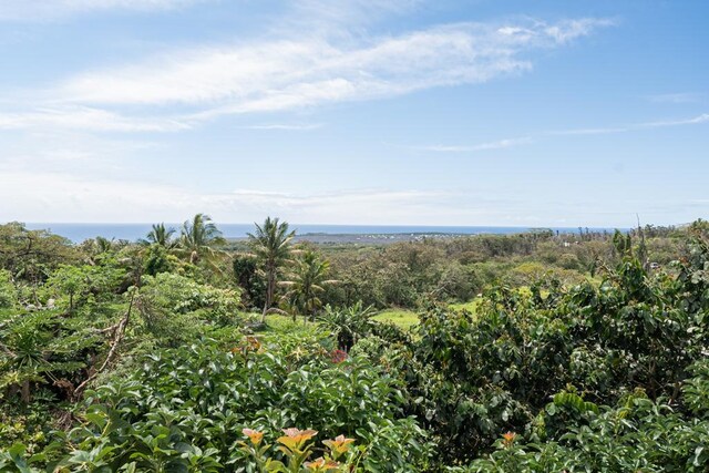12-1123 Kaimu Makena Homestead Rd, Pahoa, HI 96778 - photo 19