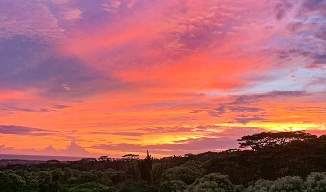 12-1123 Kaimu Makena Homestead Rd, Pahoa, HI 96778 - photo 26
