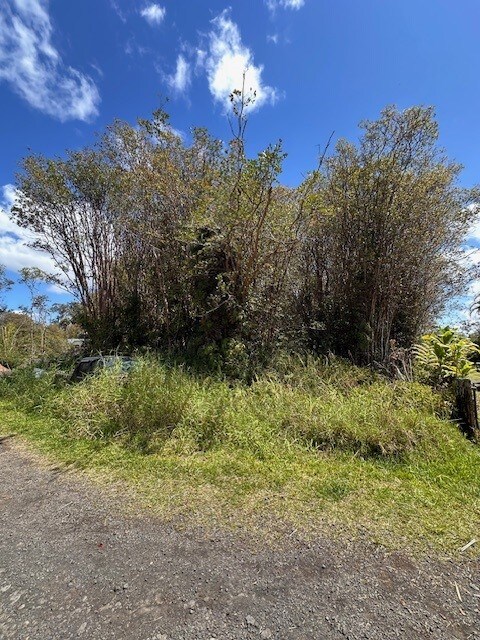 Keola Pl, Volcano, HI 96785