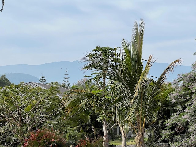 71-1769 Puu Lani Dr, Kailua-Kona, HI 96740 - mountain view