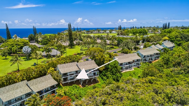 5301 Ka Haku Rd Unit 112, Princeville, HI 96722 - drone / aerial view of a large body of water