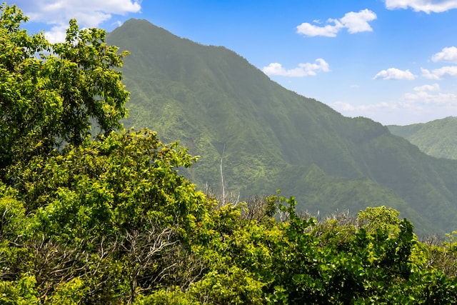 5301 Ka Haku Rd Unit 112, Princeville, HI 96722 - view of mountain backdrop