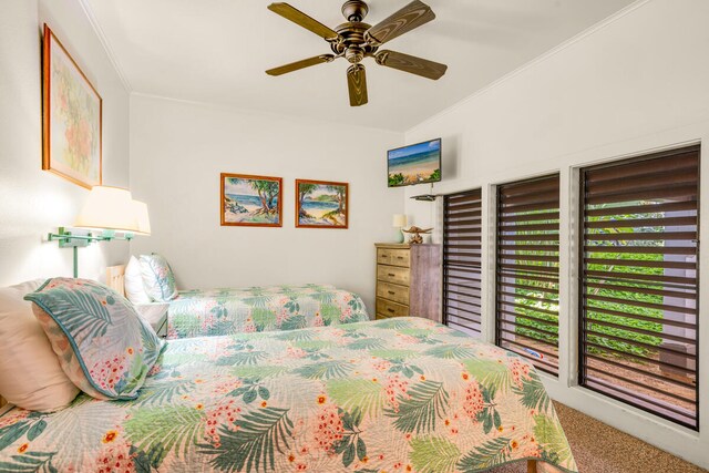 2253 Poipu Rd Unit 241, Koloa, HI 96756 - carpeted bedroom with ceiling fan and crown molding