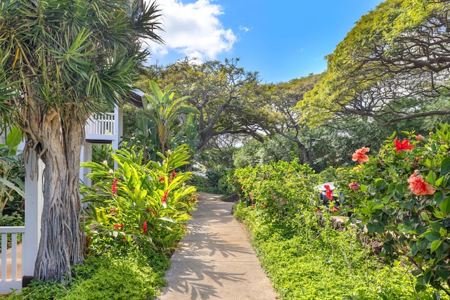 2253 Poipu Rd Unit 241, Koloa, HI 96756 - view of property's community