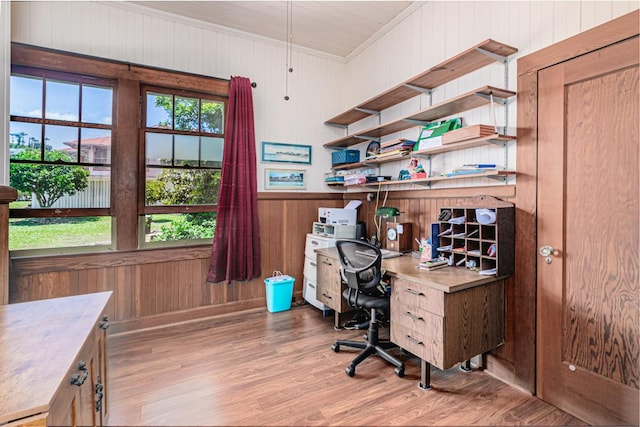 394 Haili St, Hilo, HI 96720 - office area featuring wooden walls, crown molding, and light wood-style floors