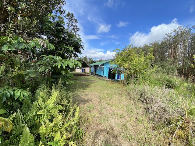 11-3141 Ala Kapena, Volcano, HI 96785 - view of yard
