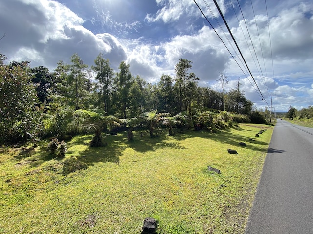 11-3141 Ala Kapena, Volcano, HI 96785 - view of asphalt road