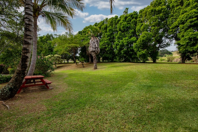44-2325 Middle Rd, Honokaa, HI 96727 - view of grassy yard