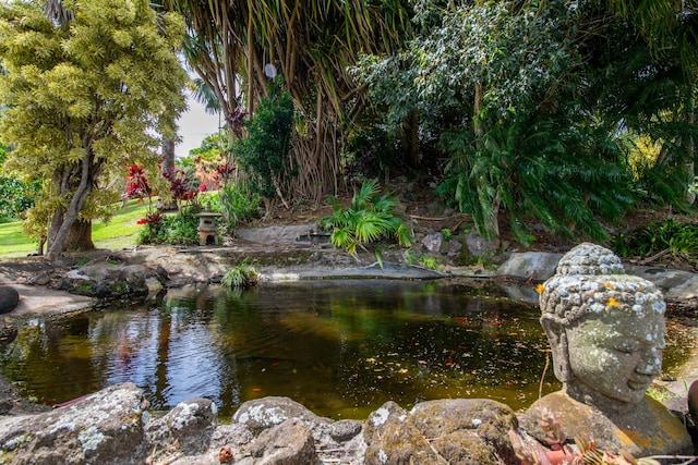 44-2325 Middle Rd, Honokaa, HI 96727 - exterior view of a small pond