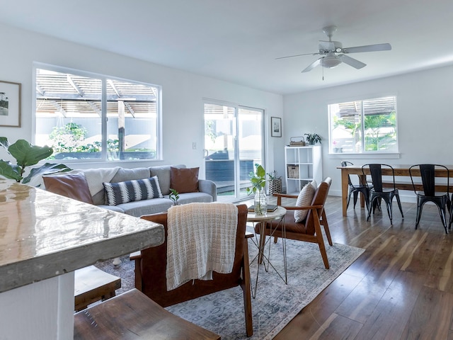 189 Poouli St, Wailuku, HI 96793 - living room with a ceiling fan and dark wood finished floors