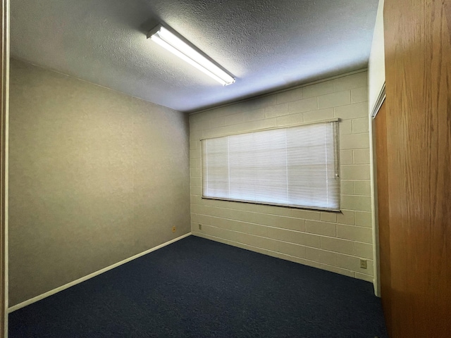 272 Lama St, Hilo, HI 96720 - spare room featuring a textured ceiling and dark carpet
