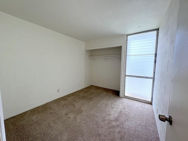 4156 Rice St Unit 404, Lihue, HI 96766 - unfurnished bedroom featuring carpet and a closet