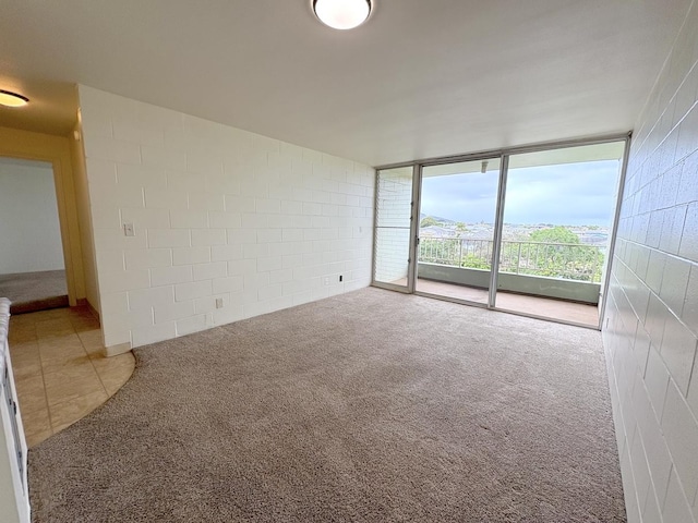 4156 Rice St Unit 404, Lihue, HI 96766 - empty room with carpet, floor to ceiling windows, and concrete block wall