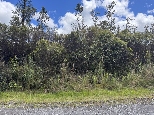 Ohialani Rd Lot 26, Volcano, HI 96785 - photo 7