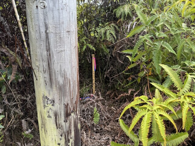 Ohialani Rd Lot 26, Volcano, HI 96785 - photo 11
