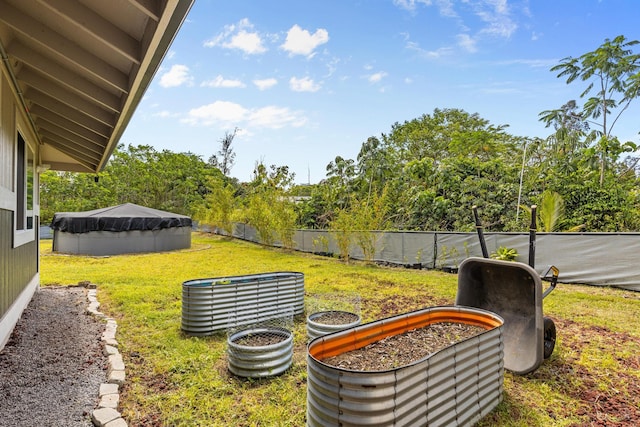 15-1884 14th Ave, Keaau, HI 96749 - view of yard