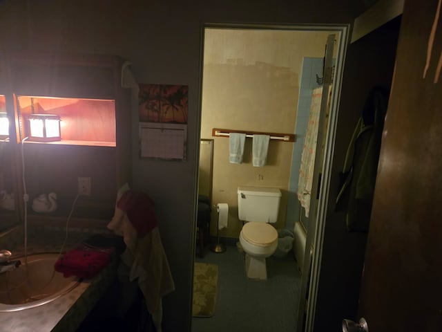 355 Kalanianaole Ave Unit 103, Hilo, HI 96720 - bathroom with vanity and toilet