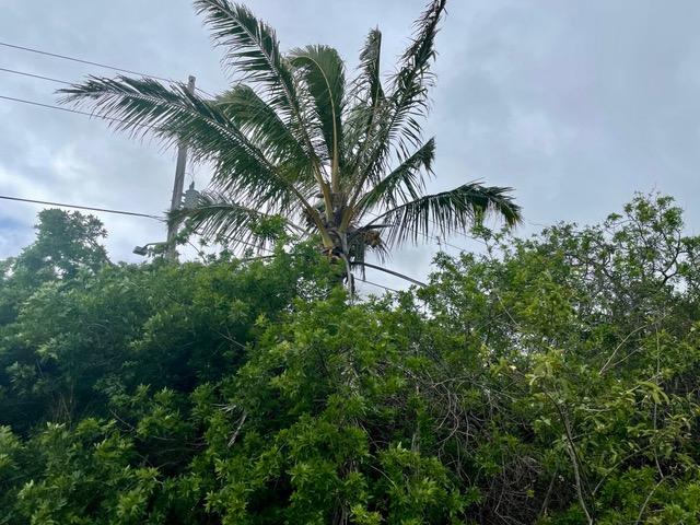 Haehae St, Naalehu, HI 96772