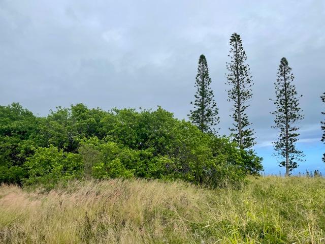 Haehae St, Naalehu, HI 96772