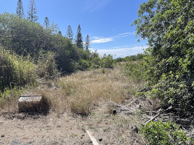 Haehae St, Naalehu, HI 96772