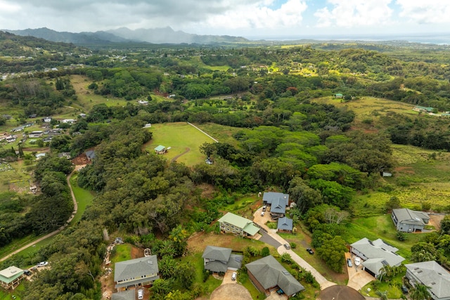 4449-A Ahopueo Dr, Kalaheo, HI 96741