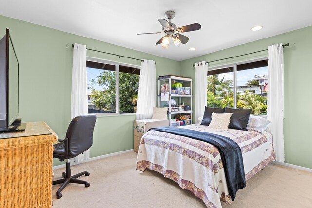 455 Mauna Iho Pl, Hilo, HI 96720 - photo 21