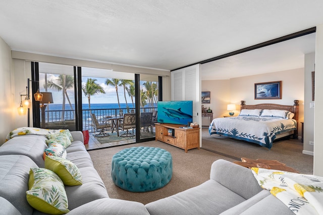 75-6106 Alii Dr Unit 208, Kailua-Kona, HI 96740 - bedroom featuring access to outside and carpet