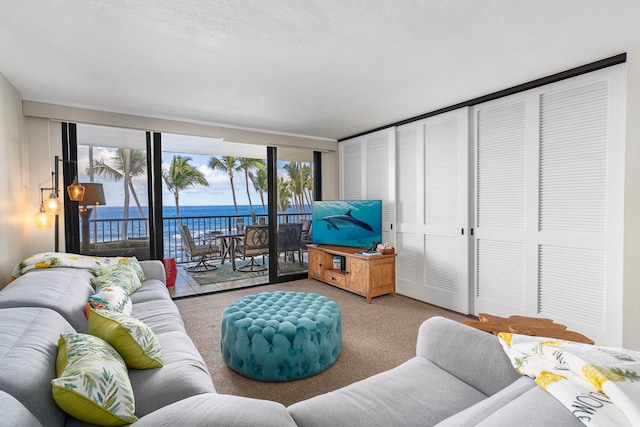 75-6106 Alii Dr Unit 208, Kailua-Kona, HI 96740 - living area featuring carpet