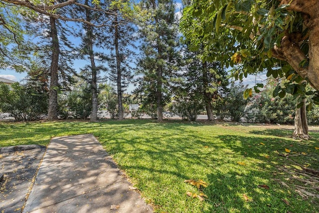 68-3890 Lua Kula St Unit 1104, Waikoloa, HI 96738 - view of green lawn