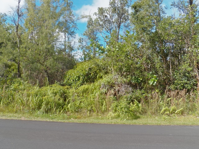 22nd Ave, Keaau, HI 96749