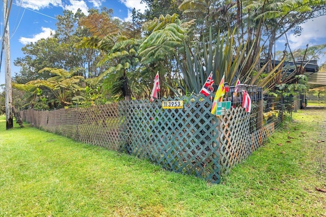 11-3953 Liona St, Volcano, HI 96785 - view of yard