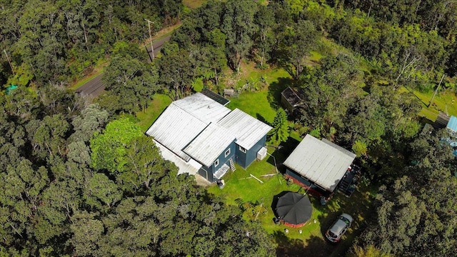 11-3953 Liona St, Volcano, HI 96785 - aerial view of a forest