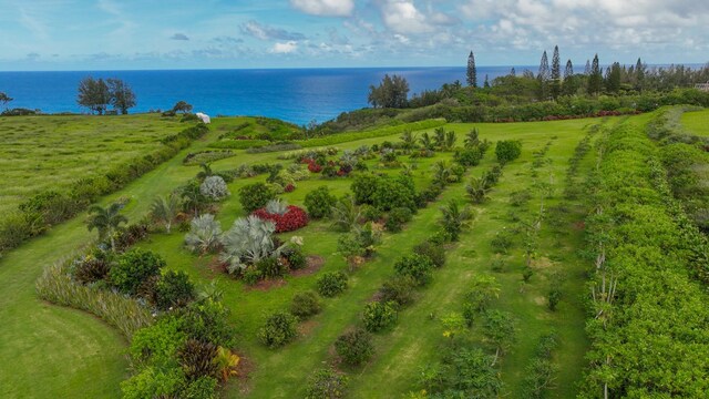 Kauapea Rd, Kilauea, HI 96754 - photo 8
