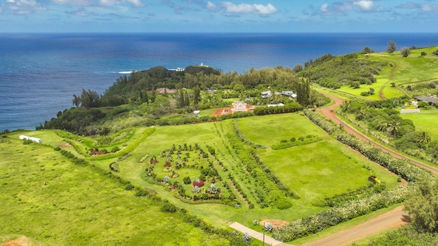 Kauapea Rd, Kilauea, HI 96754 - photo 4