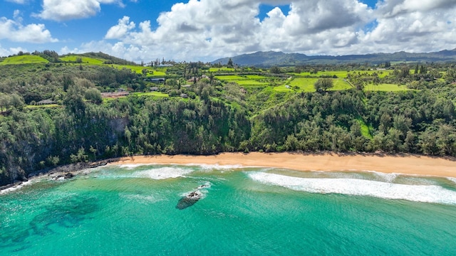 Kauapea Rd, Kilauea, HI 96754 - photo 21