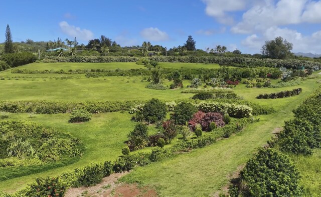 Kauapea Rd, Kilauea, HI 96754 - photo 7