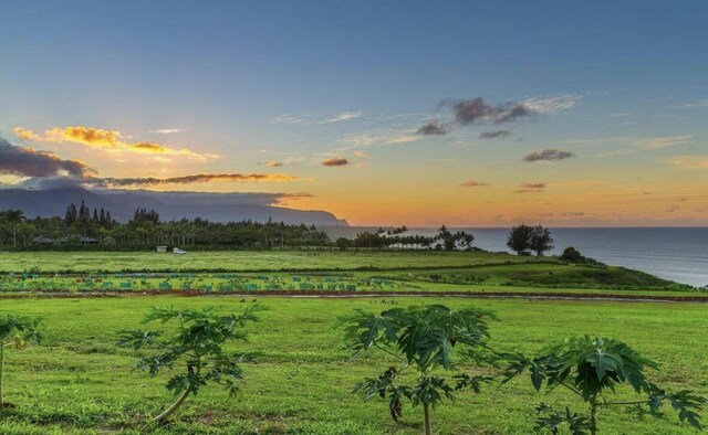 Kauapea Rd, Kilauea, HI 96754 - photo 22