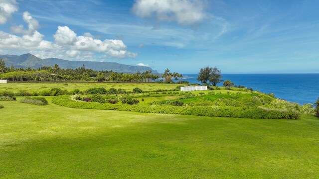 Kauapea Rd, Kilauea, HI 96754 - photo 10