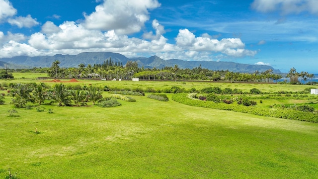 Kauapea Rd, Kilauea, HI 96754 - photo 11