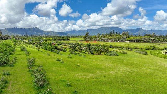 Kauapea Rd, Kilauea, HI 96754 - photo 12