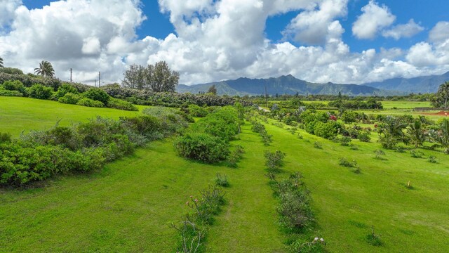 Kauapea Rd, Kilauea, HI 96754 - photo 13