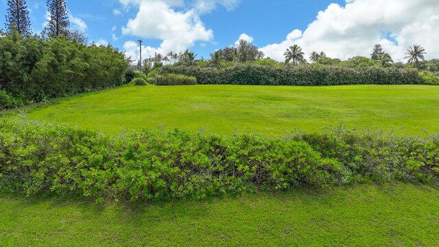 Kauapea Rd, Kilauea, HI 96754 - photo 14