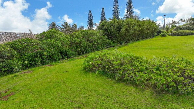 Kauapea Rd, Kilauea, HI 96754 - photo 15