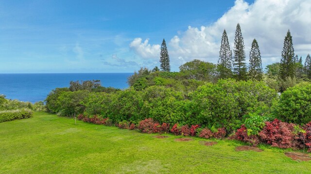 Kauapea Rd, Kilauea, HI 96754 - photo 16