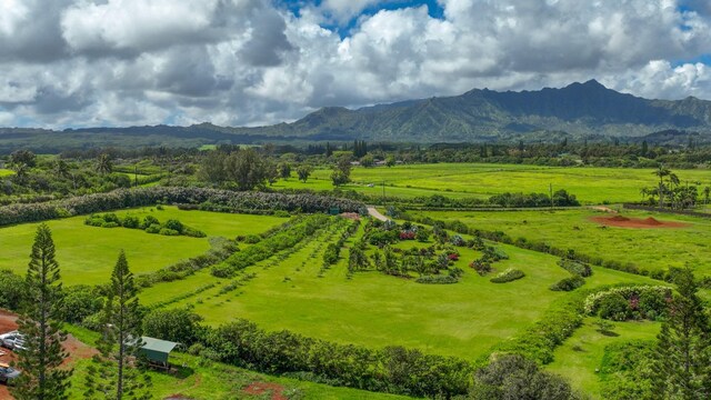 Kauapea Rd, Kilauea, HI 96754 - photo 17